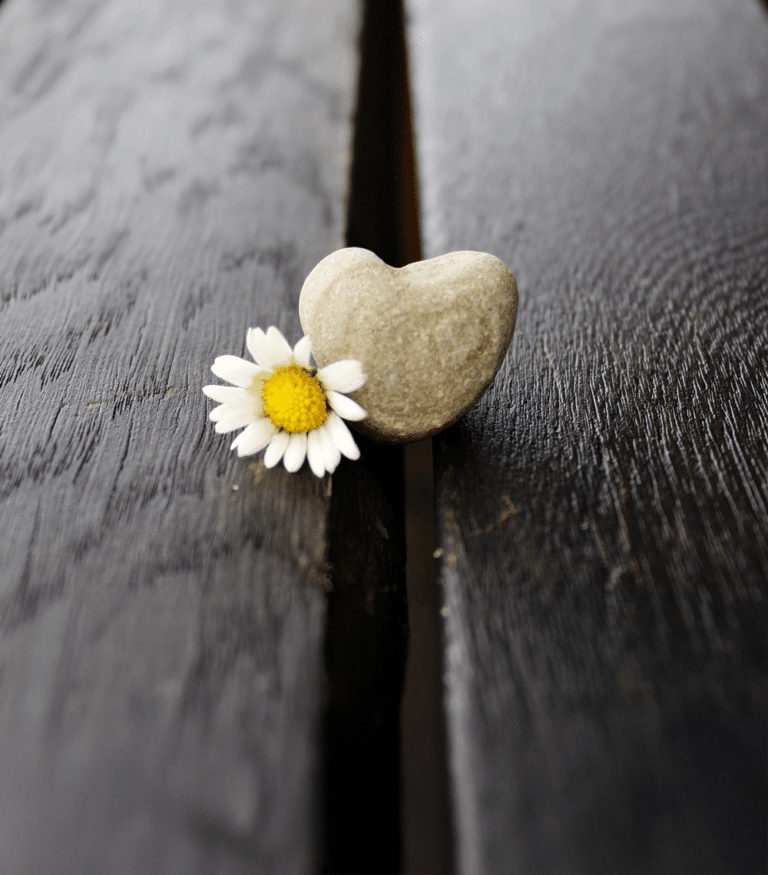 Finding Sanctuary Through Pain, Nature, and Healing