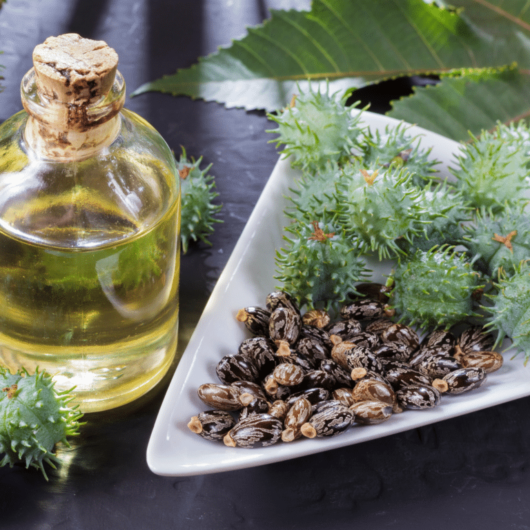 Castor Oil Chronicles – Ancient Ayurvedic Secrets Unveiled