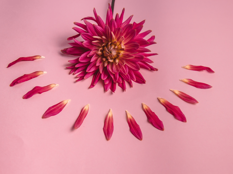 Holistic Menopause Solutions