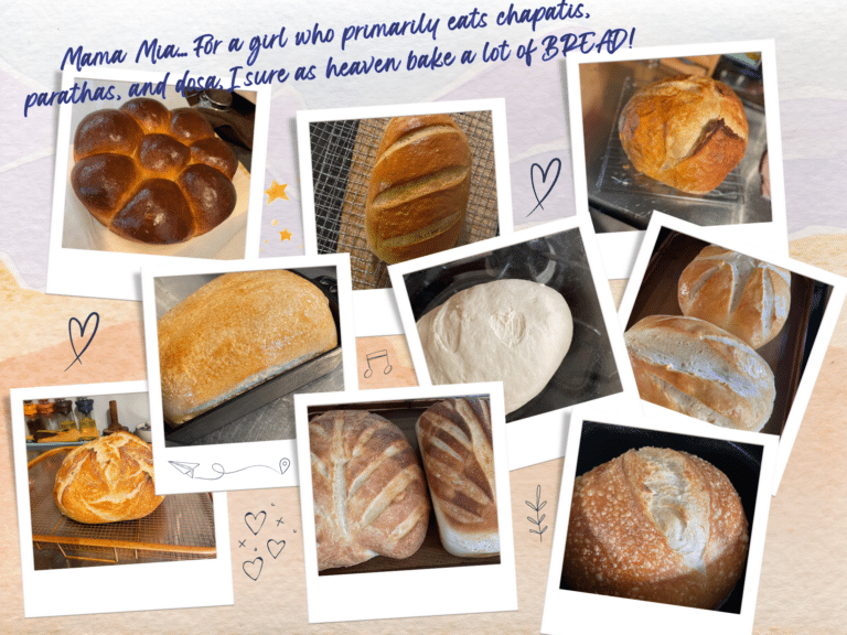 Kneading Through Time: Rediscovering the Art of Bread Making