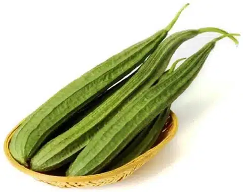 Toria (Ridge Gourd)